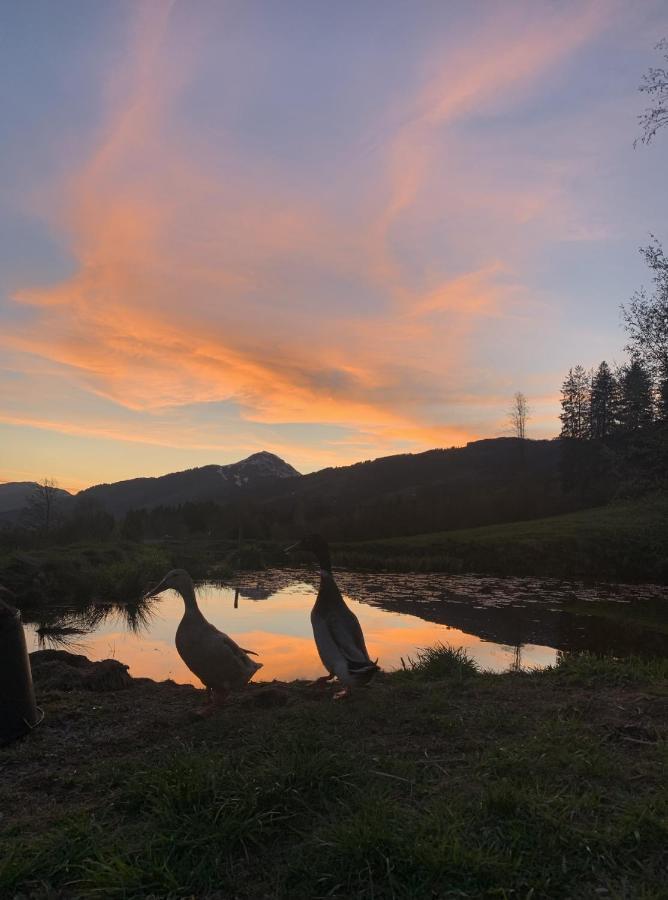 Hotel Garni Wieshof Kirchberg in Tirol Bagian luar foto