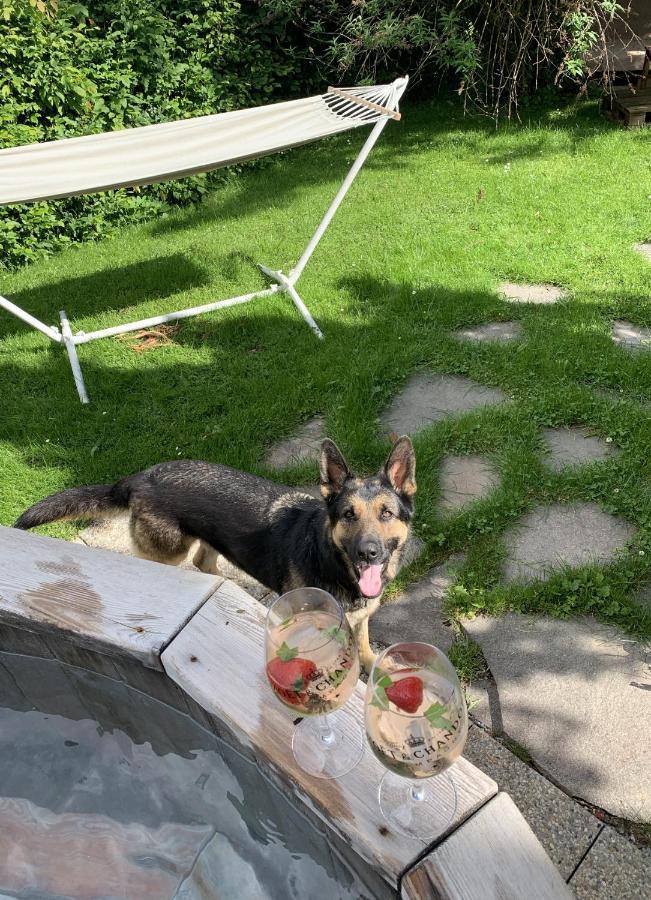 Hotel Garni Wieshof Kirchberg in Tirol Bagian luar foto